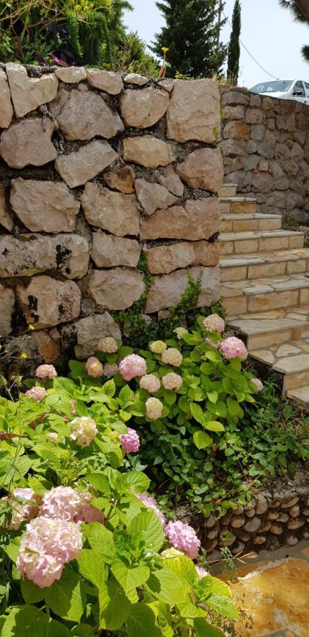 Kuca Za Odmor Jelena Villa Starigrad Paklenica Exteriör bild