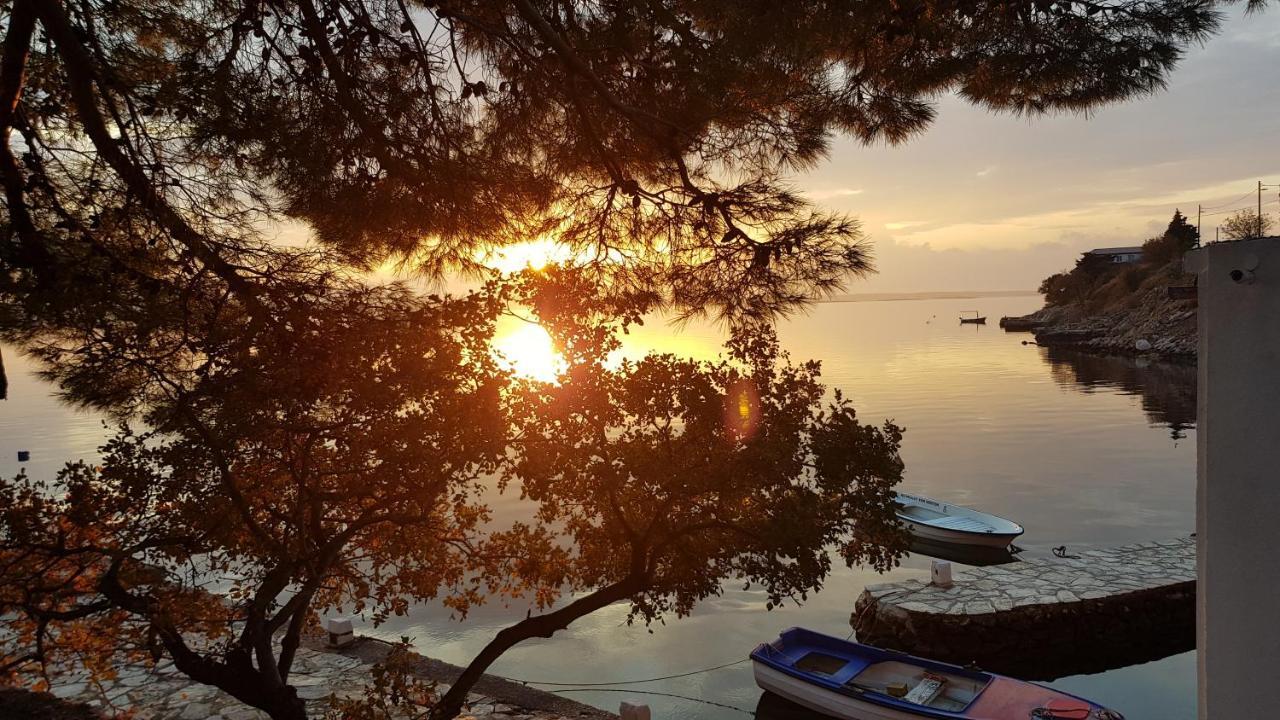 Kuca Za Odmor Jelena Villa Starigrad Paklenica Exteriör bild